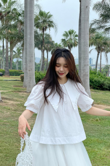 风吹半夏电视剧在线观看全集免费播放